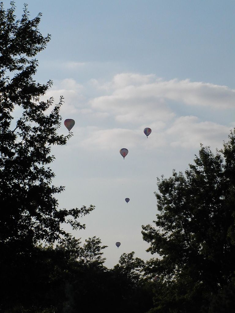 Balloon Fest 2004
