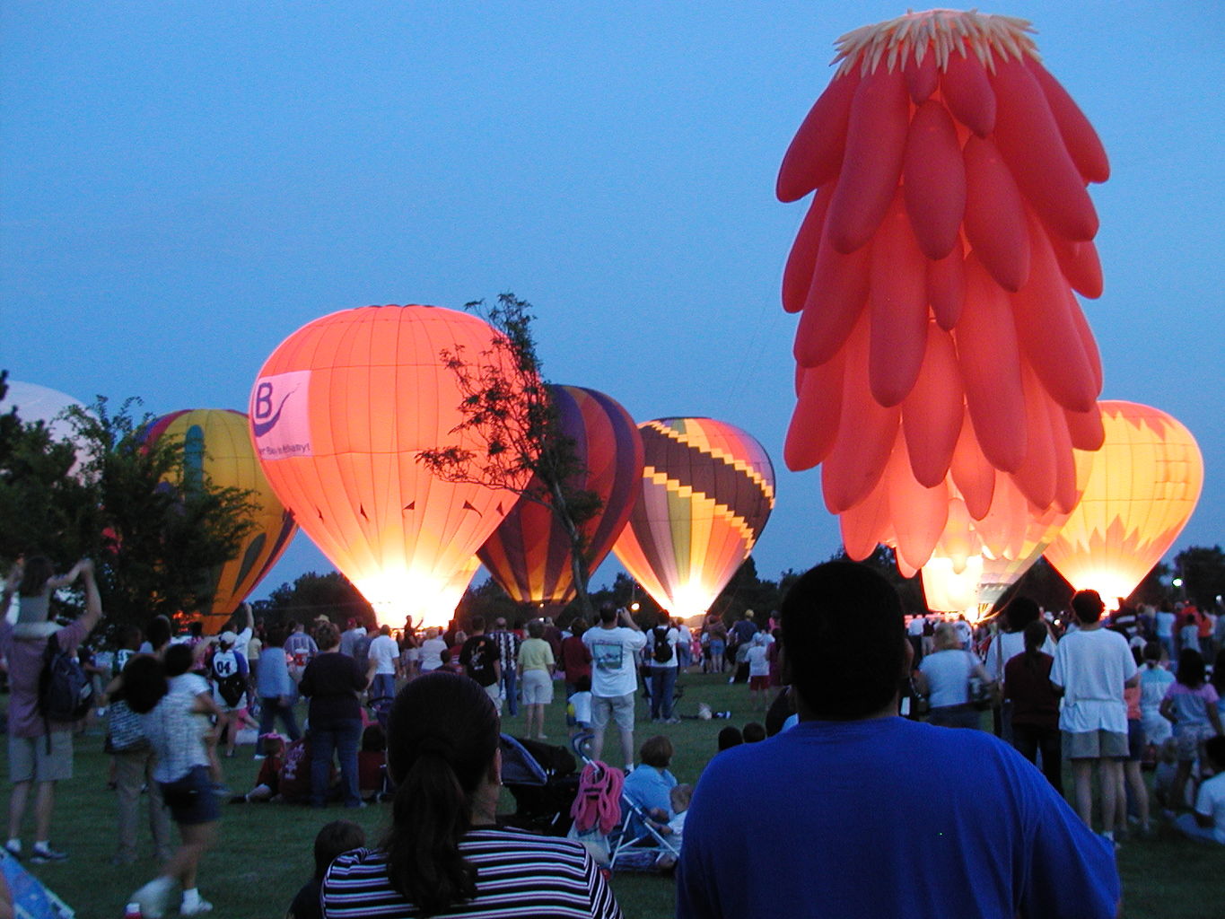 Balloon Fest 2004
