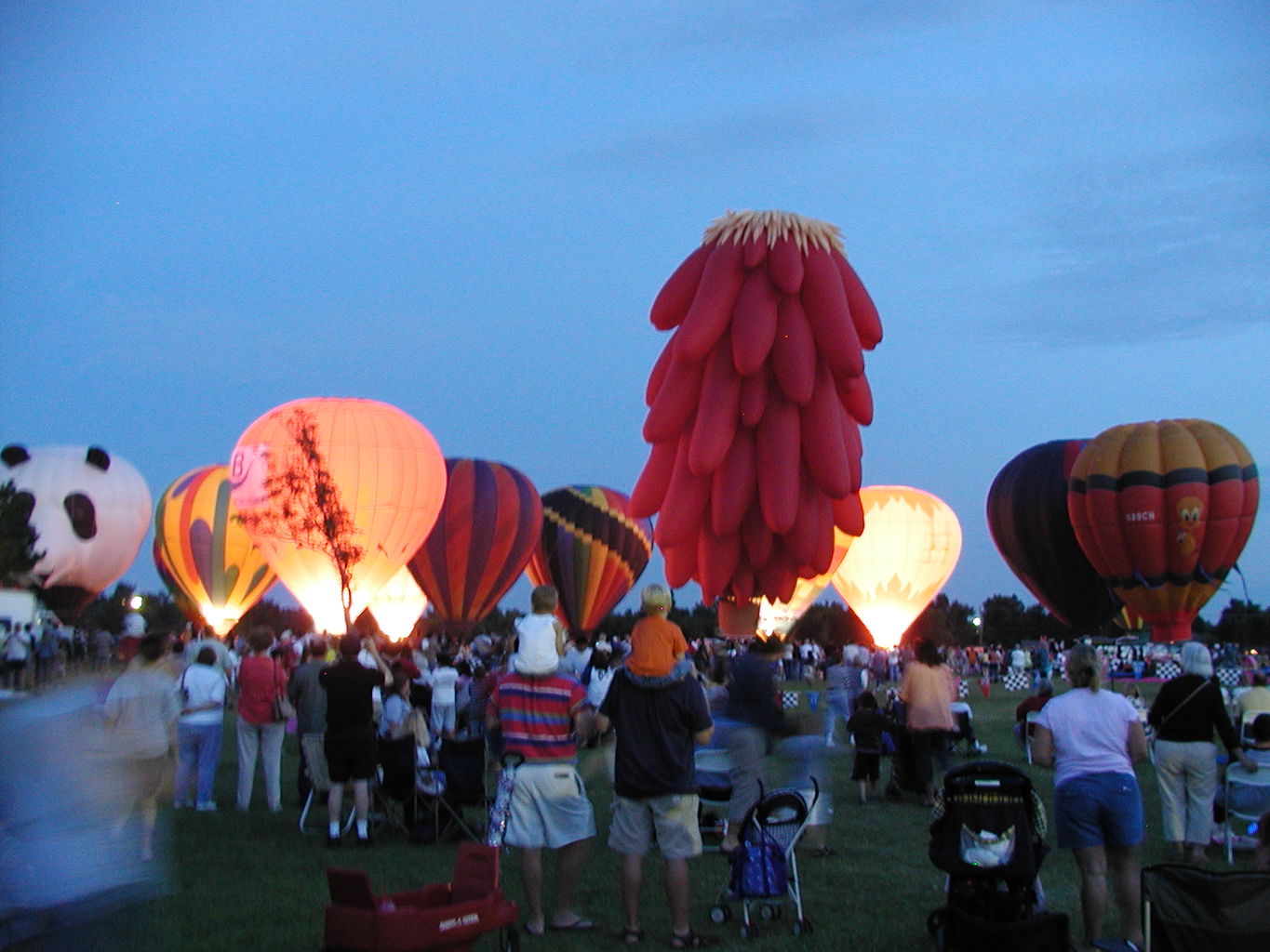 Balloon Fest 2004
