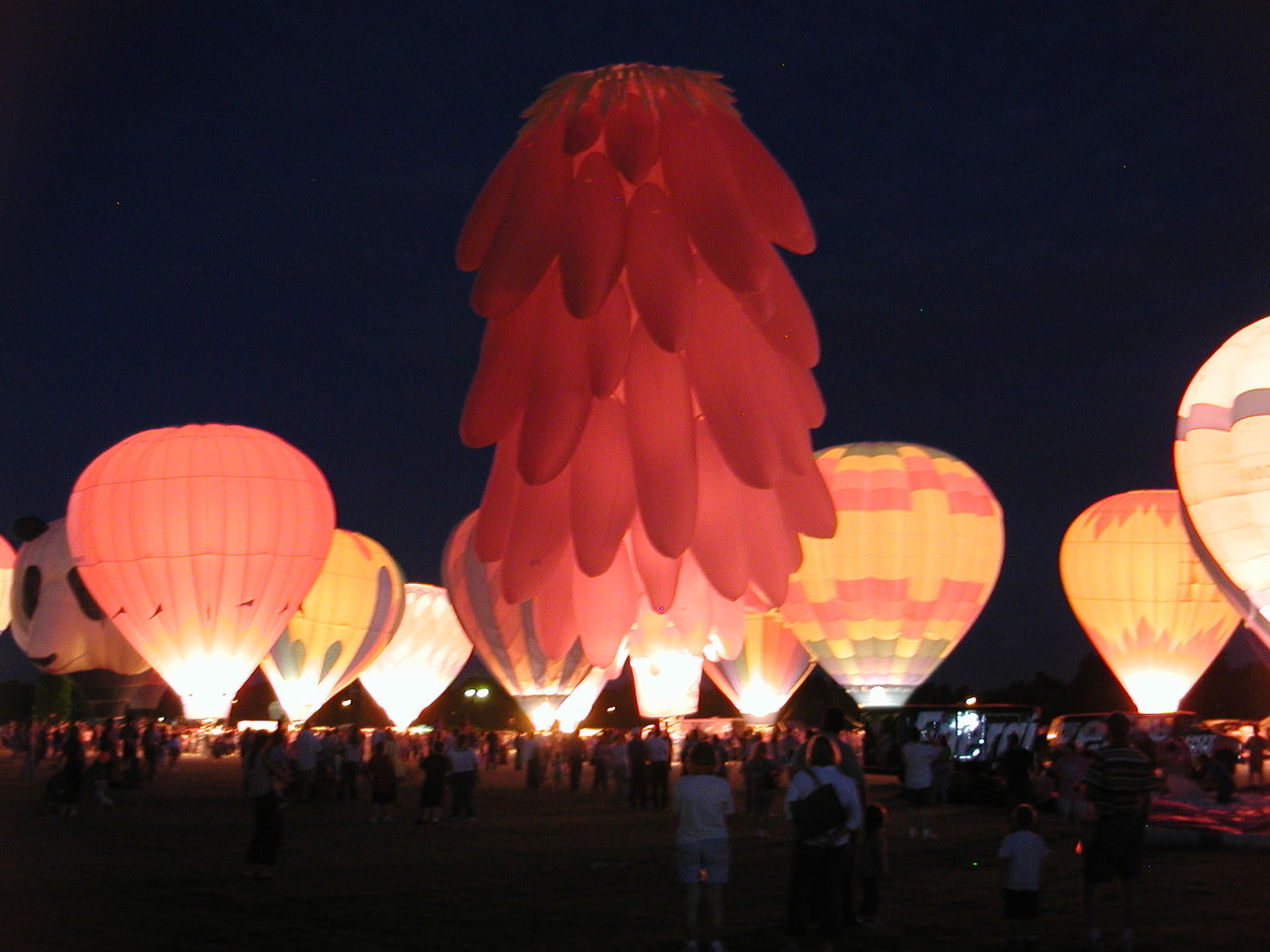 Balloon Fest 2004
