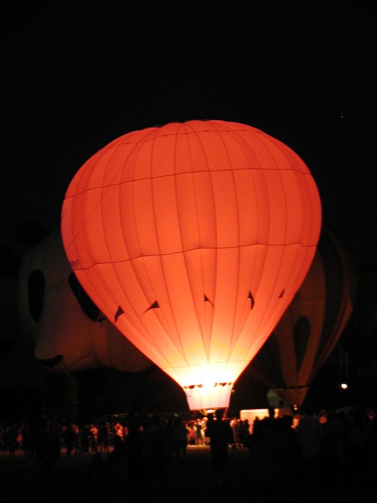 Balloon Fest 2004
