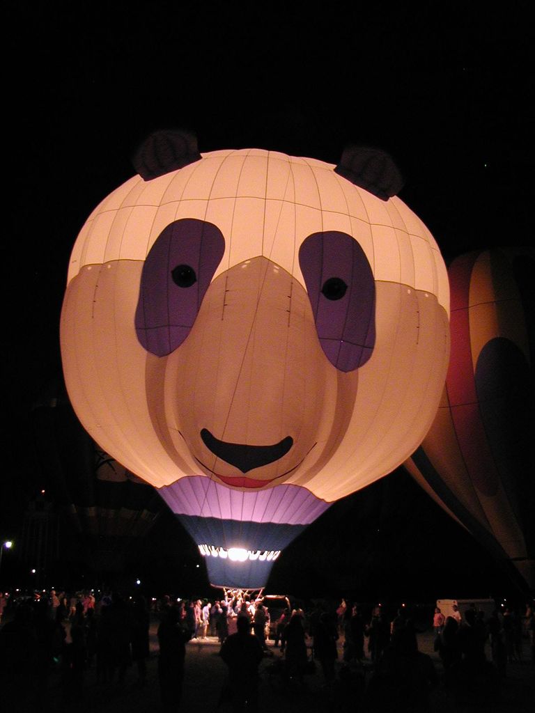 Balloon Fest 2004
