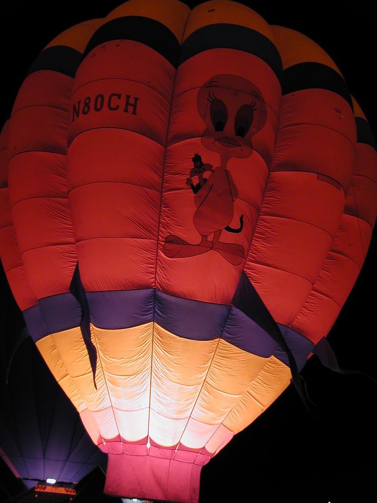 Balloon Fest 2004
