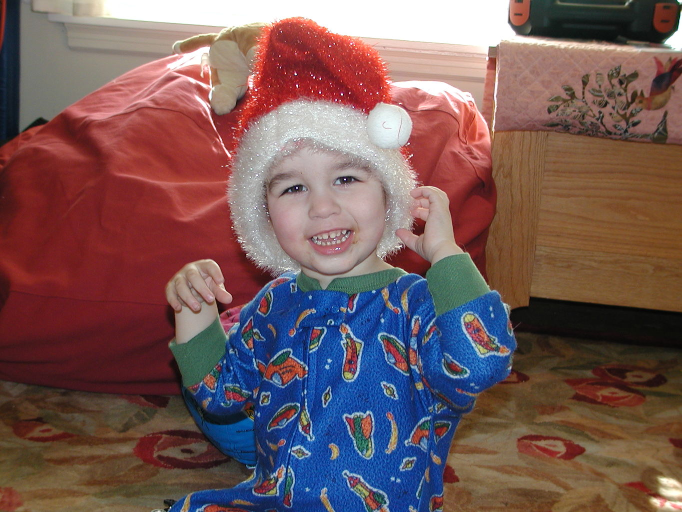 Christmas 2004
