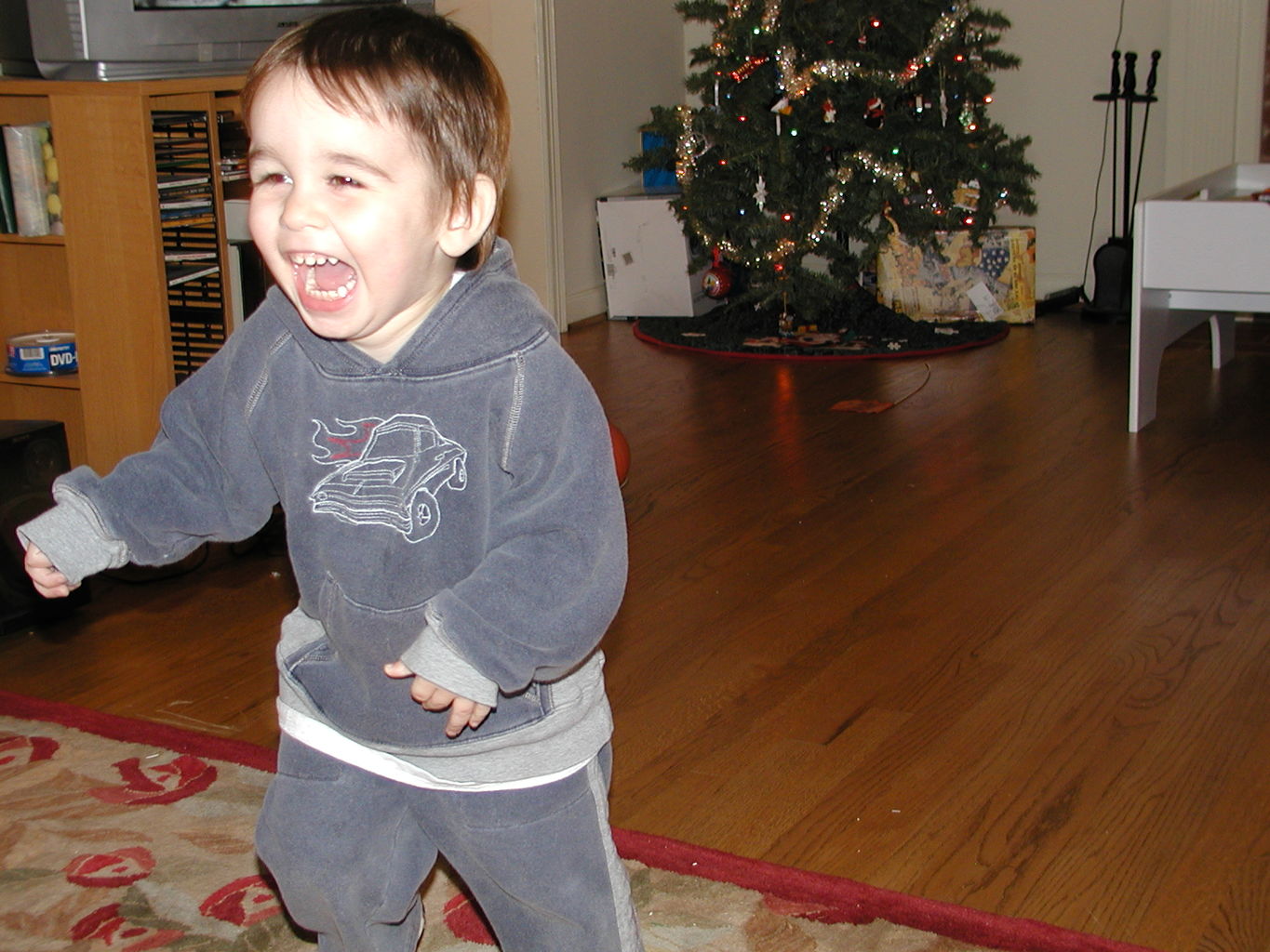 Christmas 2004

