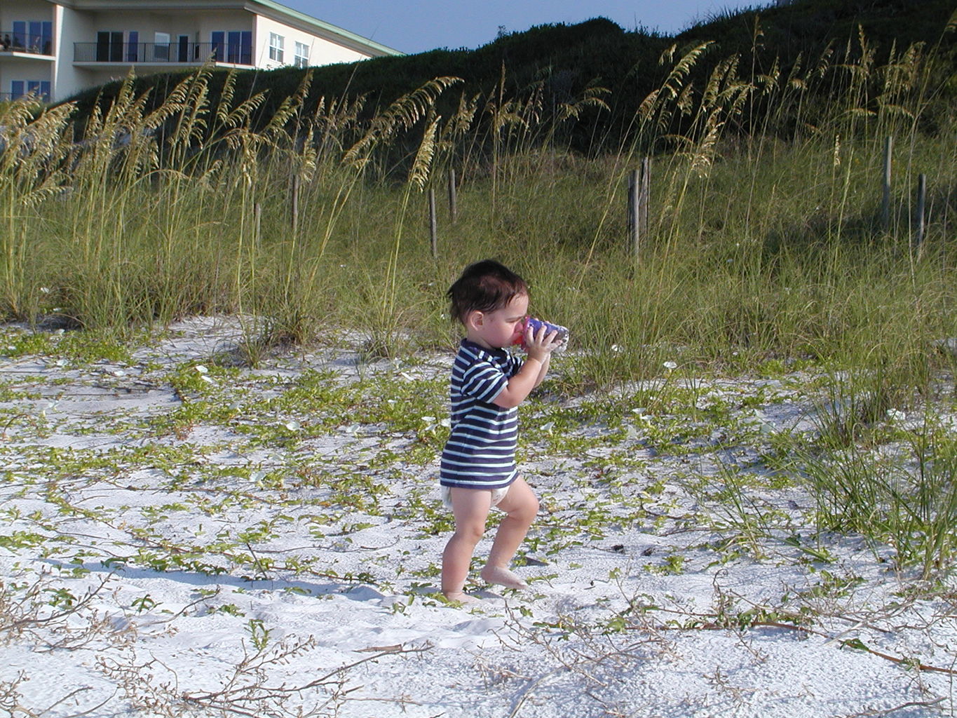 Erin and James in Florida
