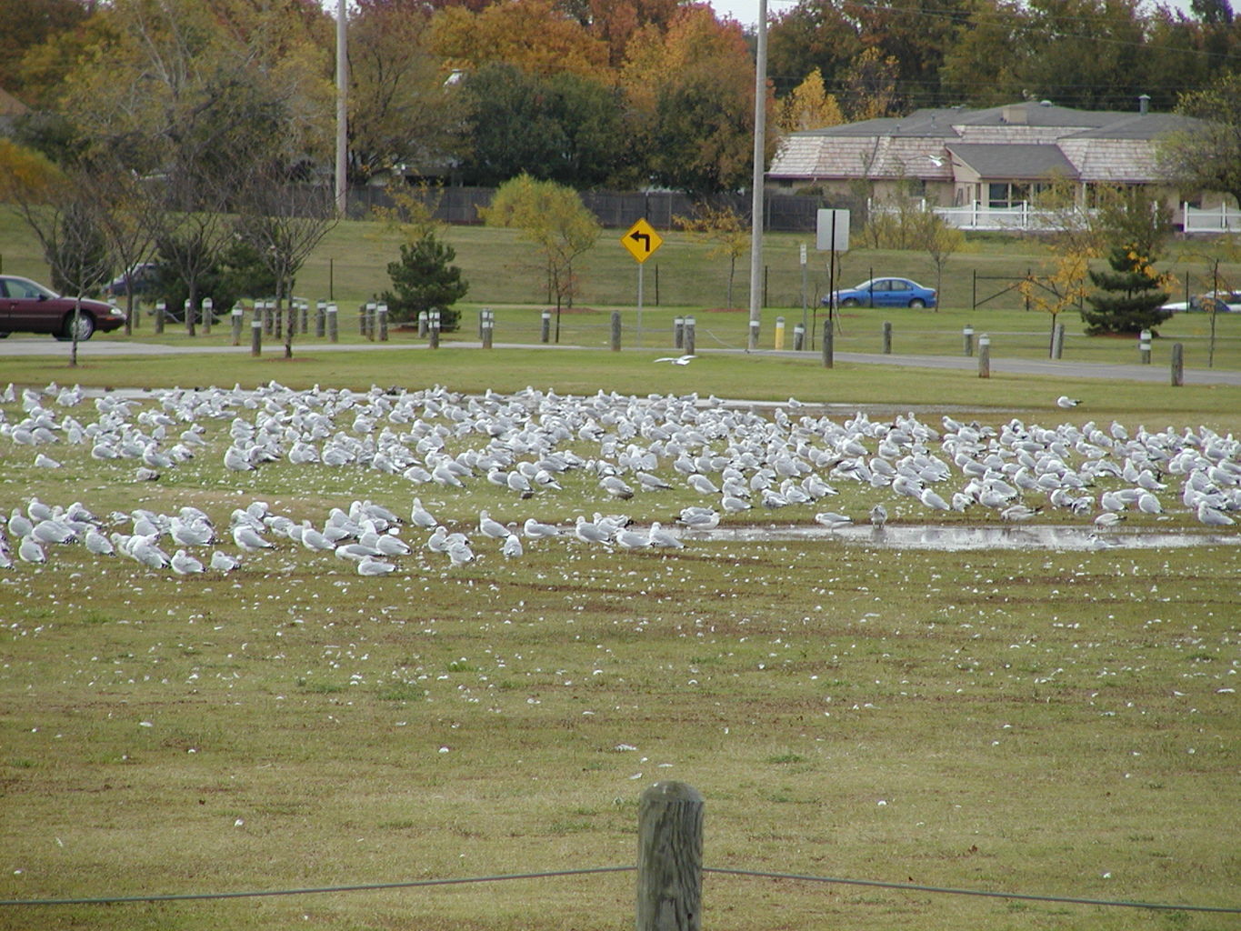 Play at Lake Hefner
