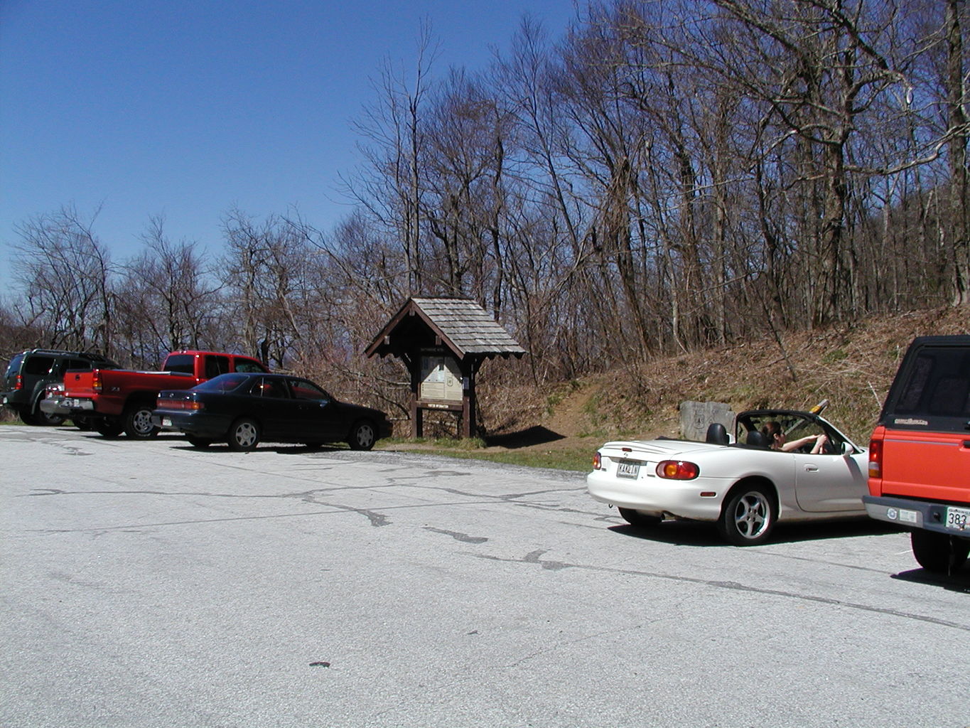 Springtime Visit to the Mountains
