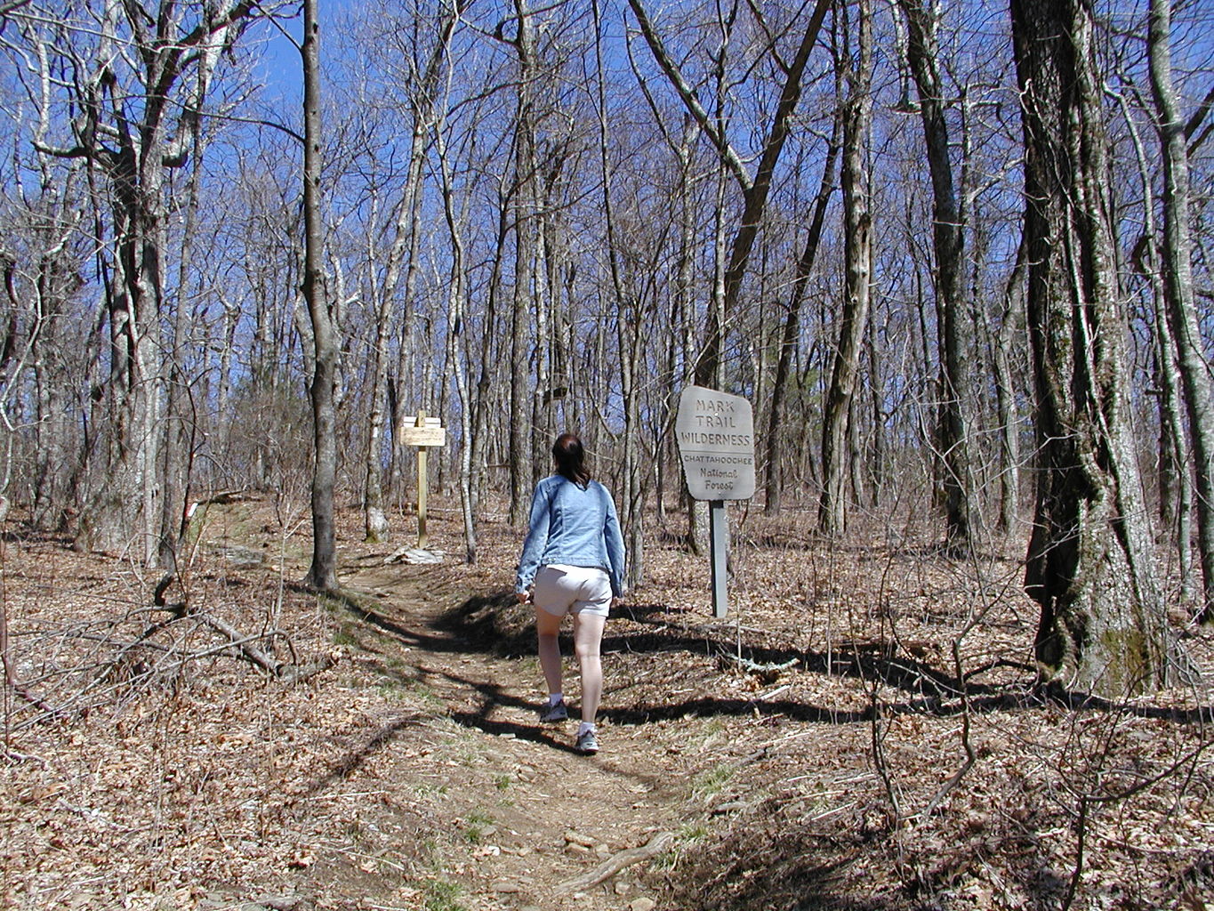 Springtime Visit to the Mountains
