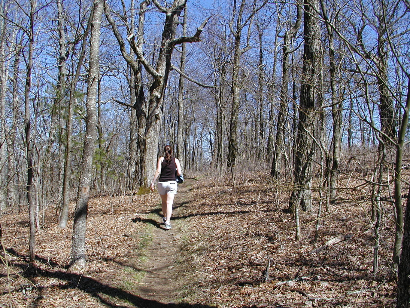 Springtime Visit to the Mountains
