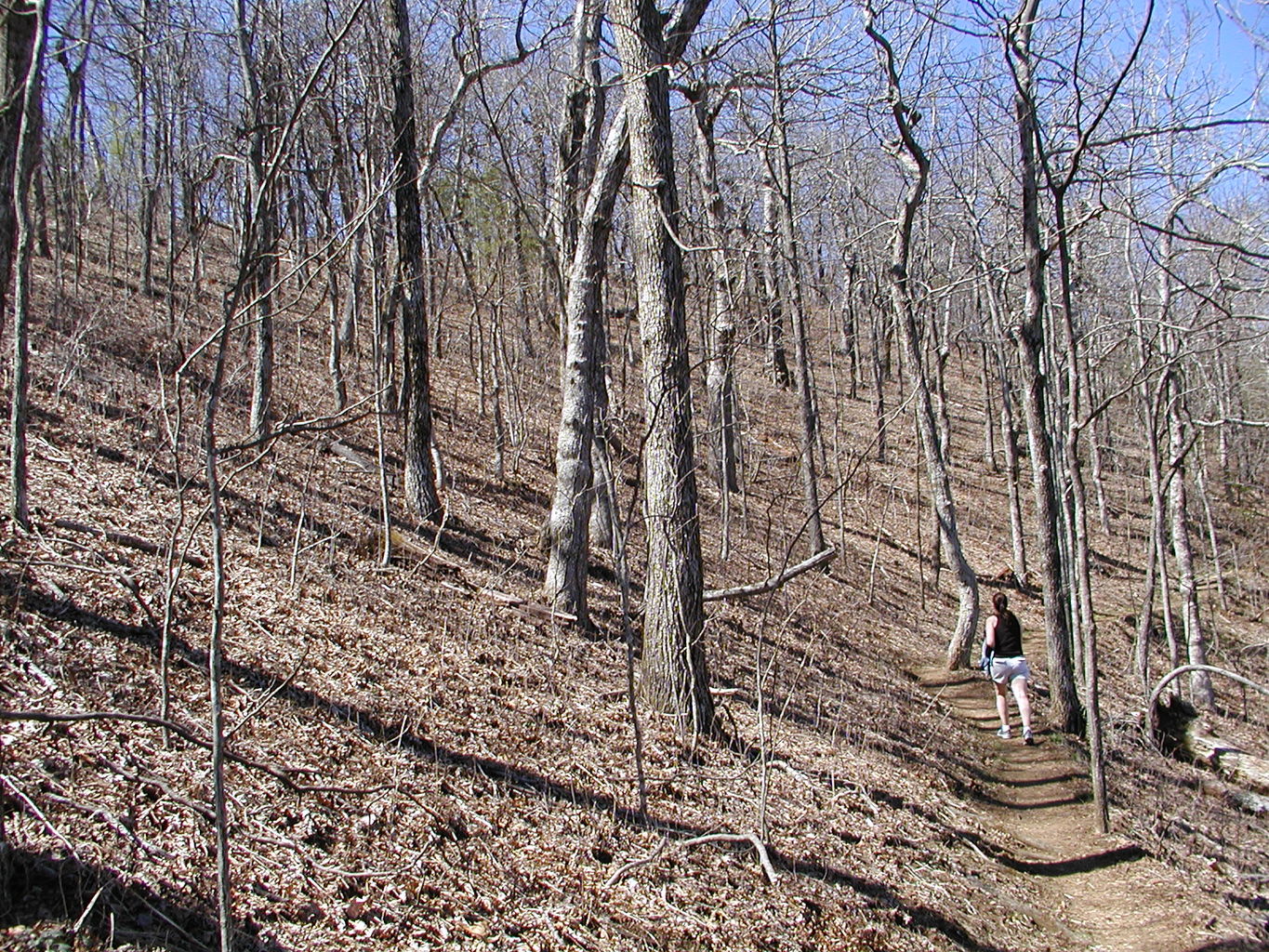 Springtime Visit to the Mountains
