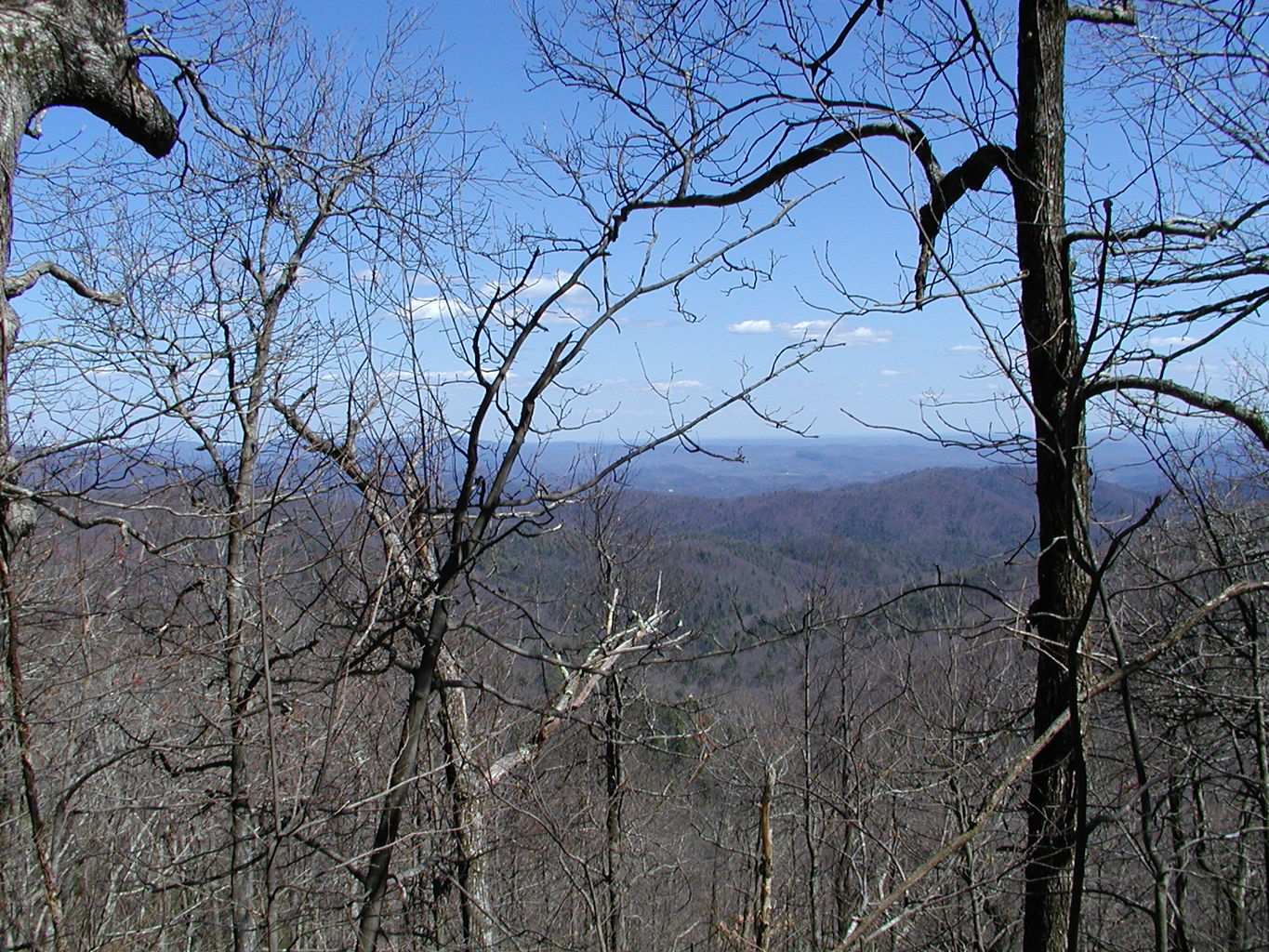 Springtime Visit to the Mountains
