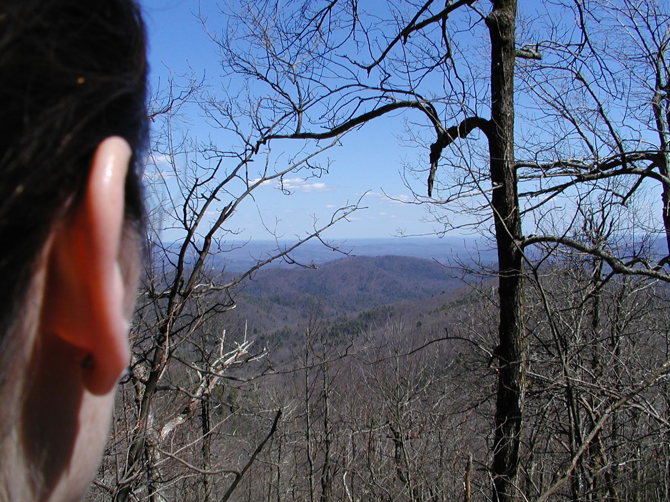 Springtime Visit to the Mountains
