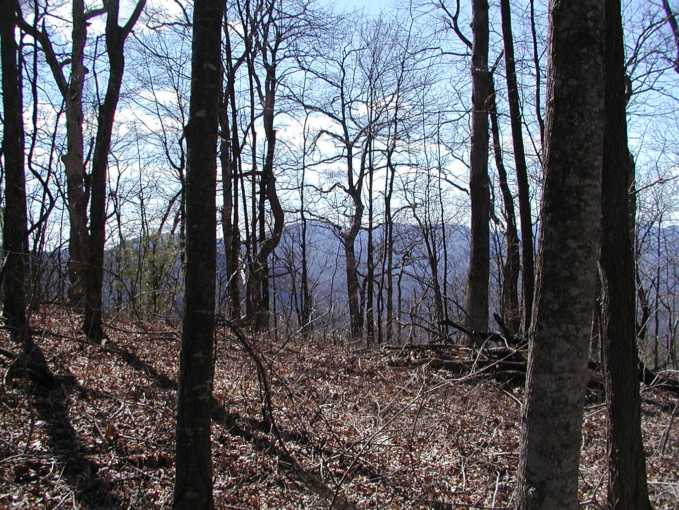 Springtime Visit to the Mountains
