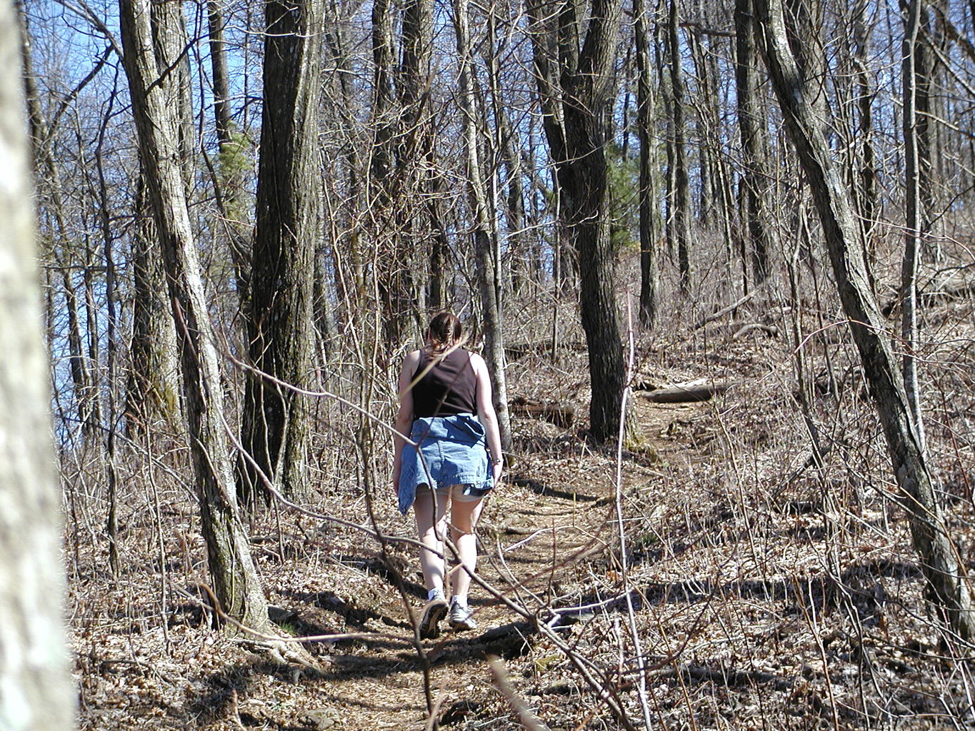 Springtime Visit to the Mountains
