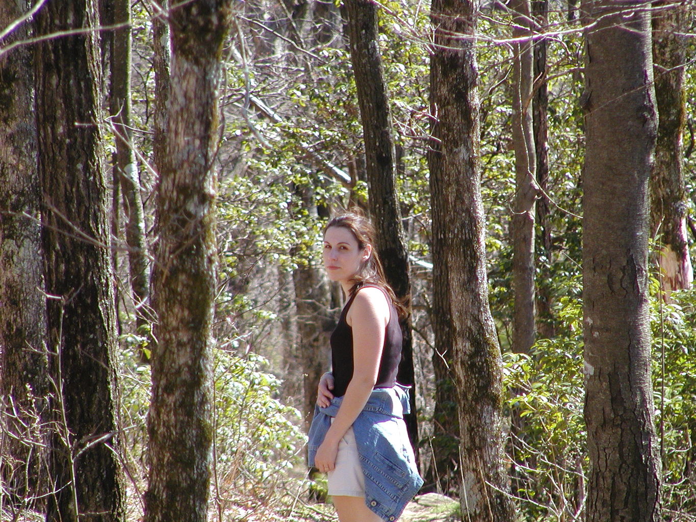 Springtime Visit to the Mountains
