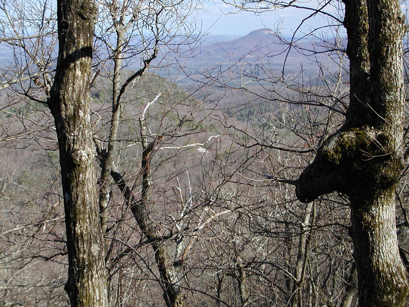 Springtime Visit to the Mountains
