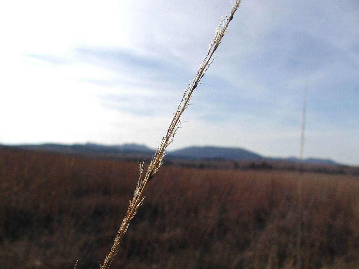 Wichita Mountain Park
