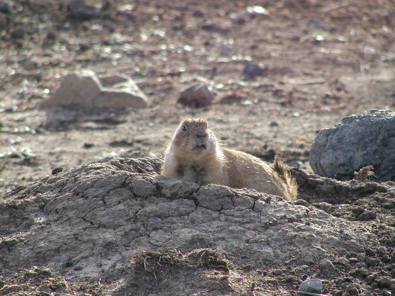 Wichita Mountain Park
