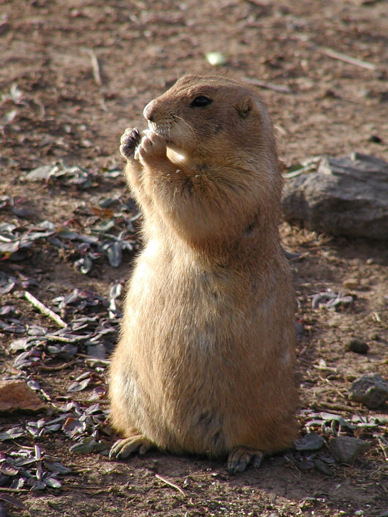 Wichita Mountain Park
