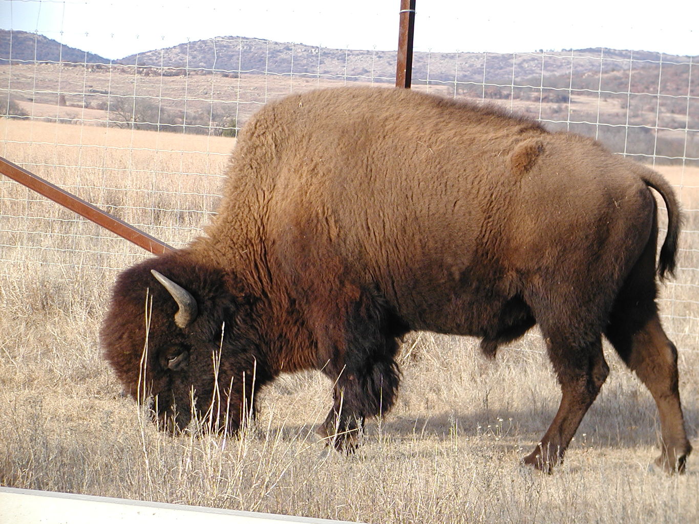 Wichita Mountain Park
