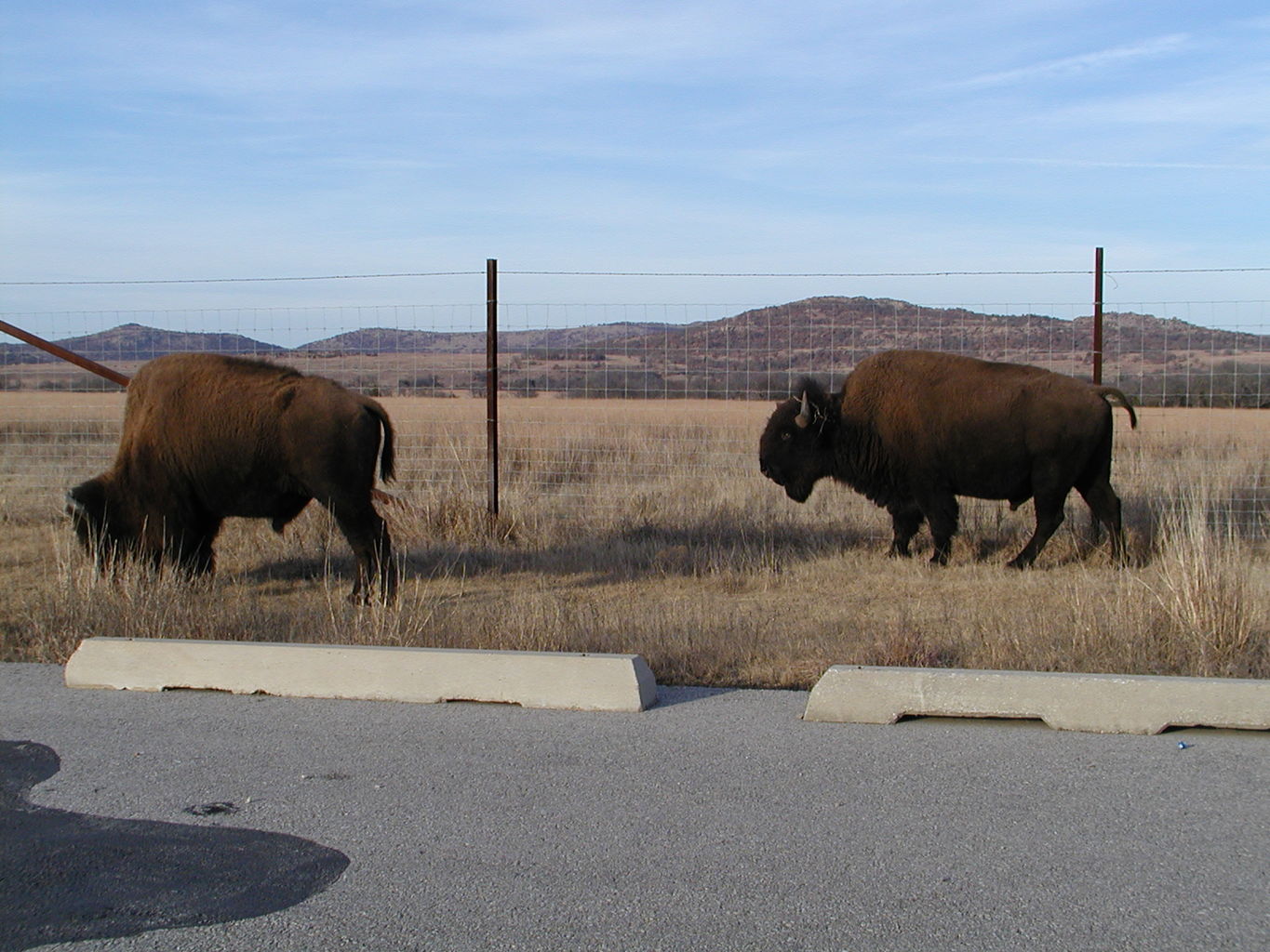 Wichita Mountain Park
