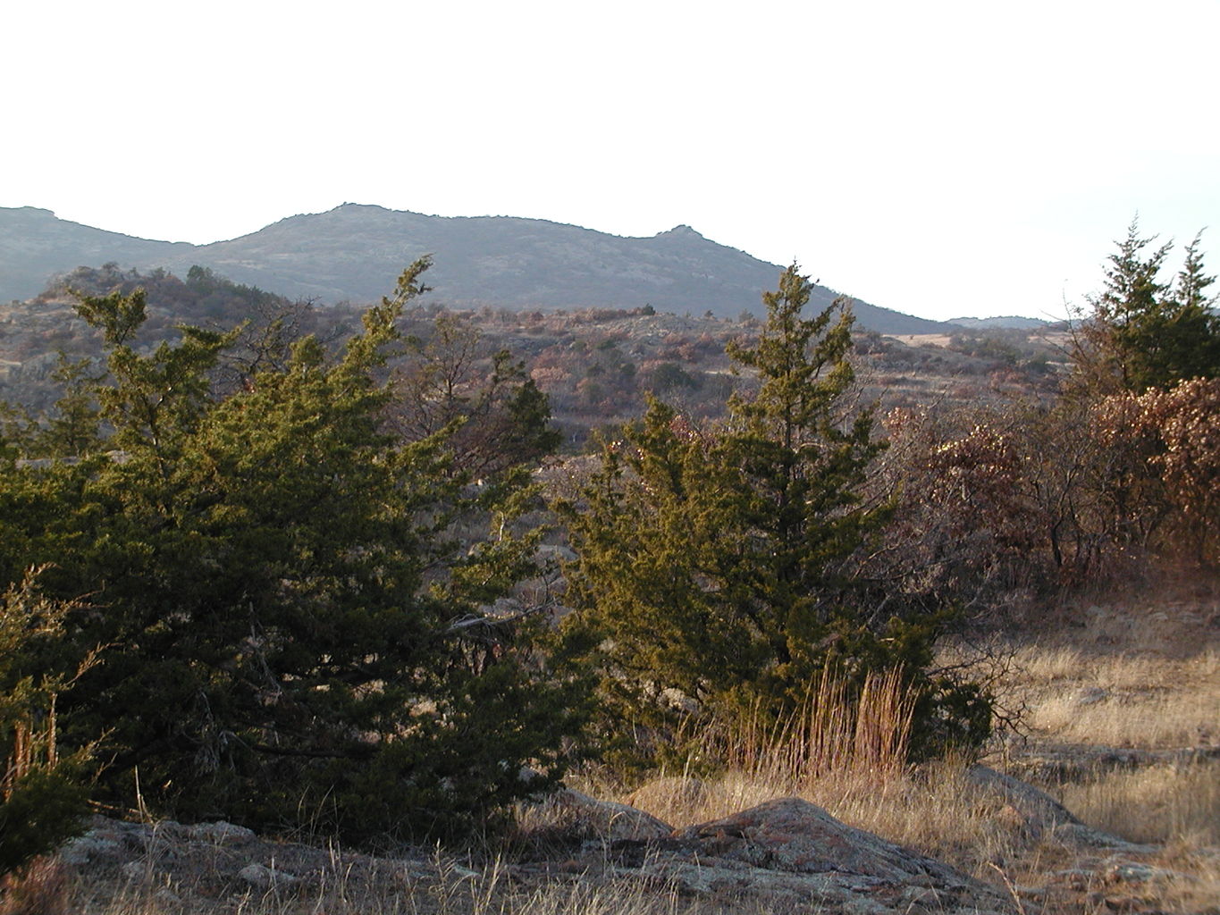 Wichita Mountain Park
