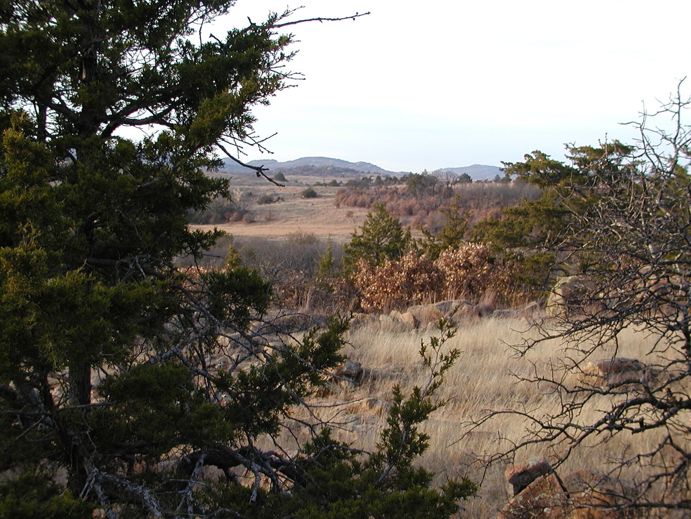 Wichita Mountain Park
