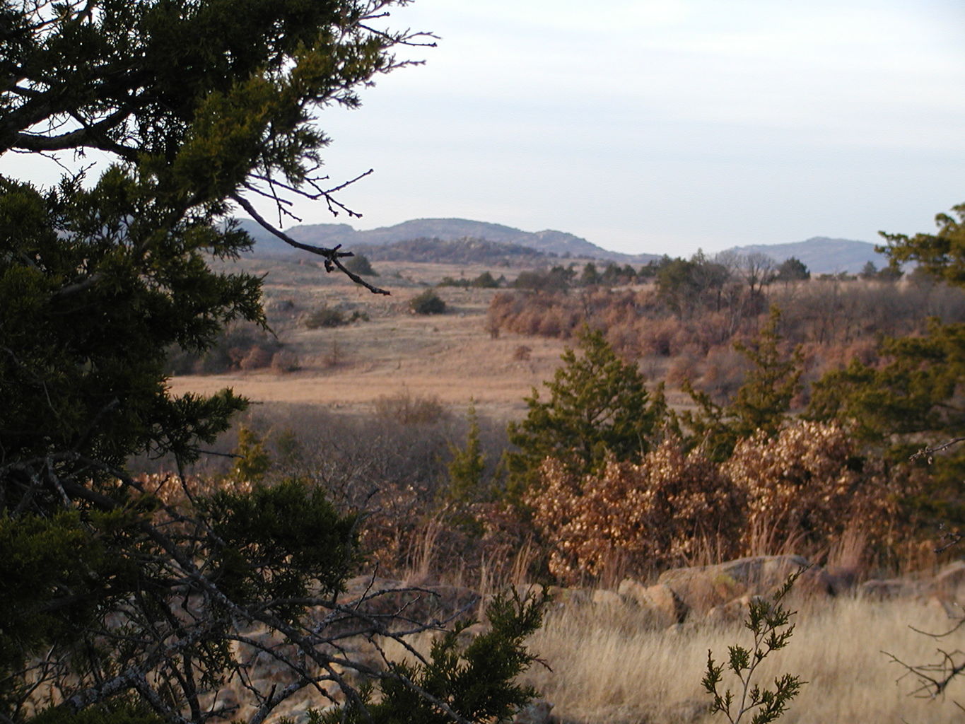 Wichita Mountain Park
