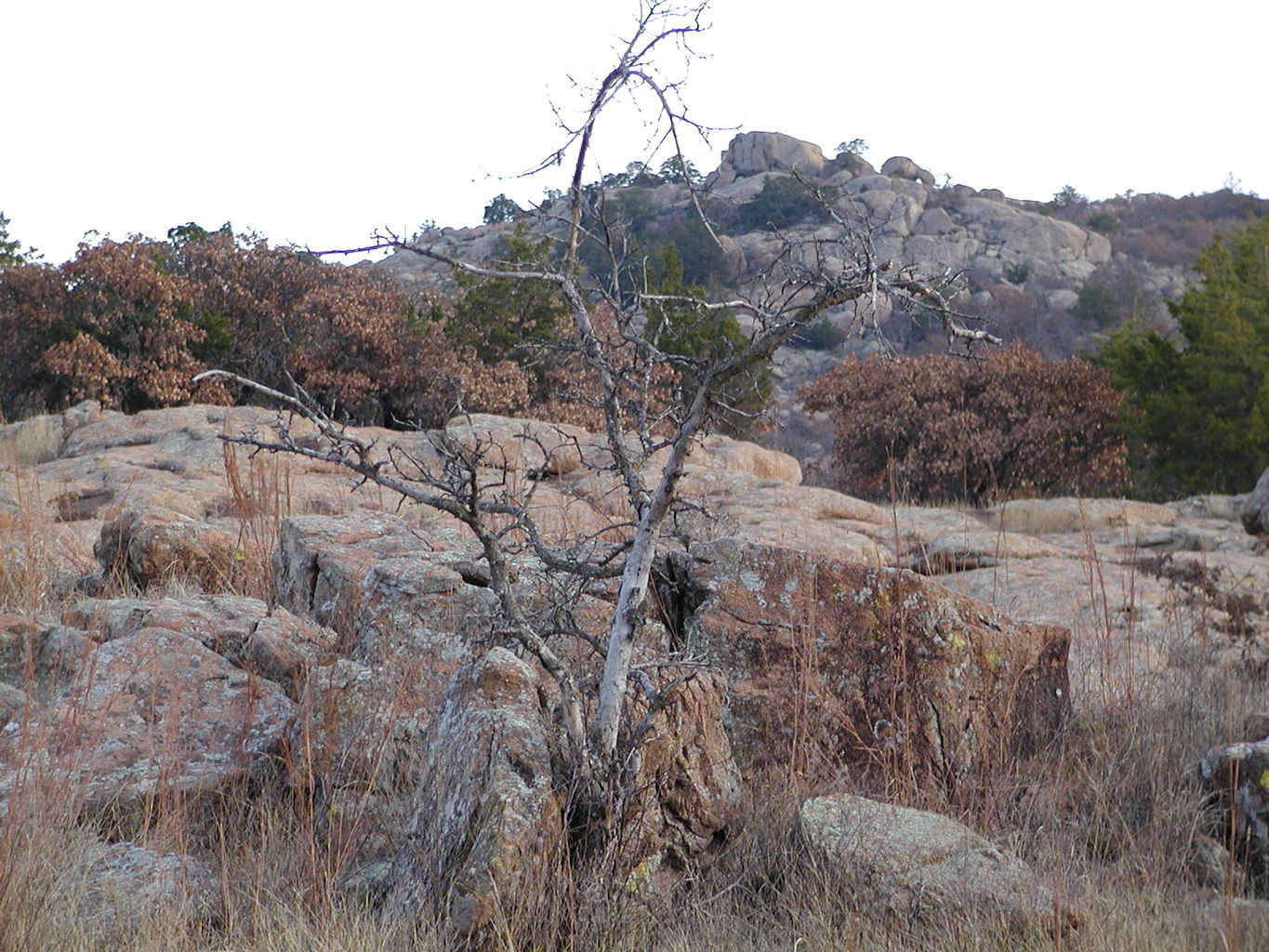 Wichita Mountain Park
