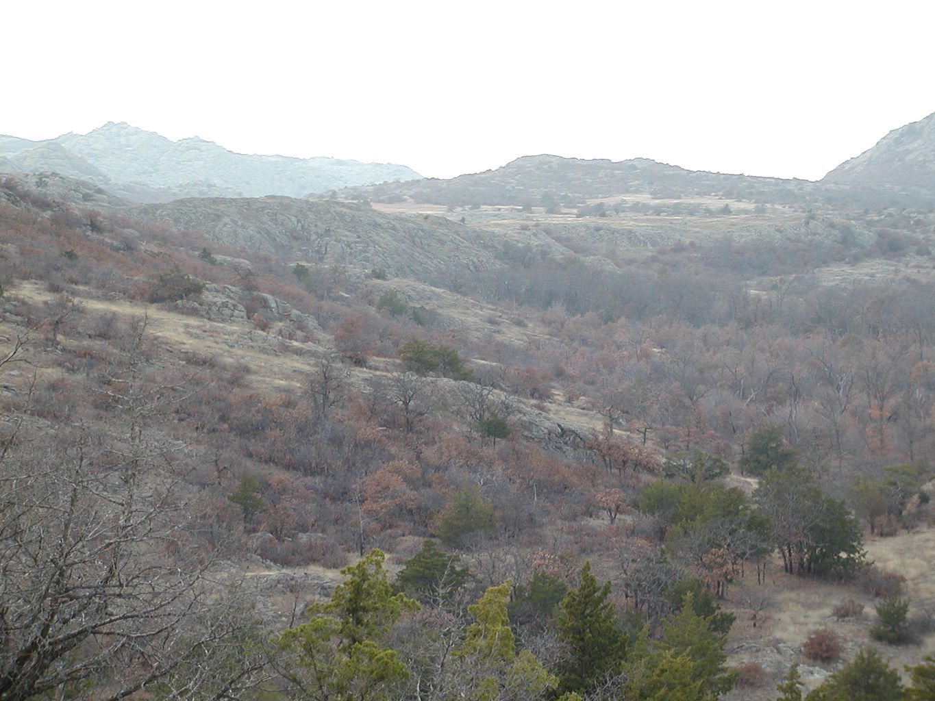 Wichita Mountain Park
