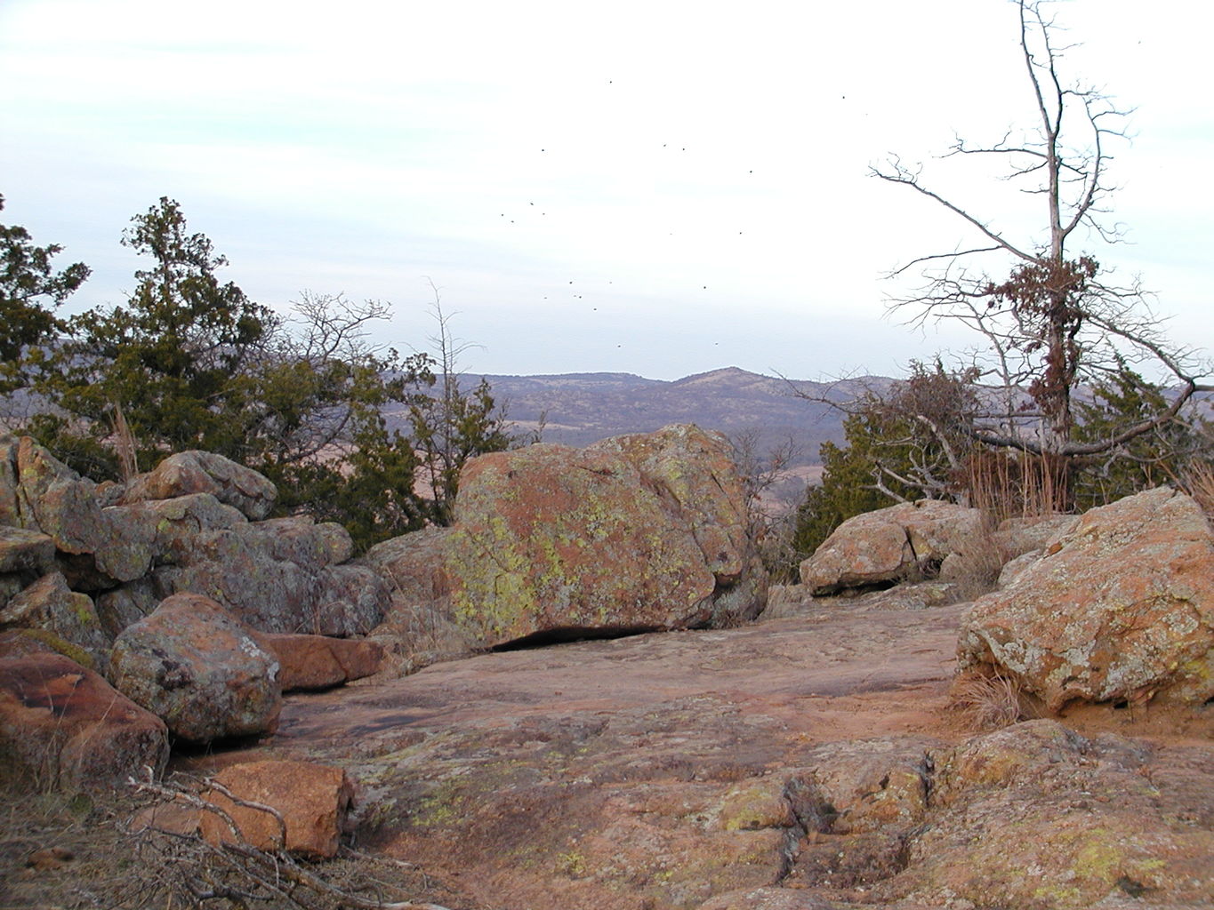 Wichita Mountain Park
