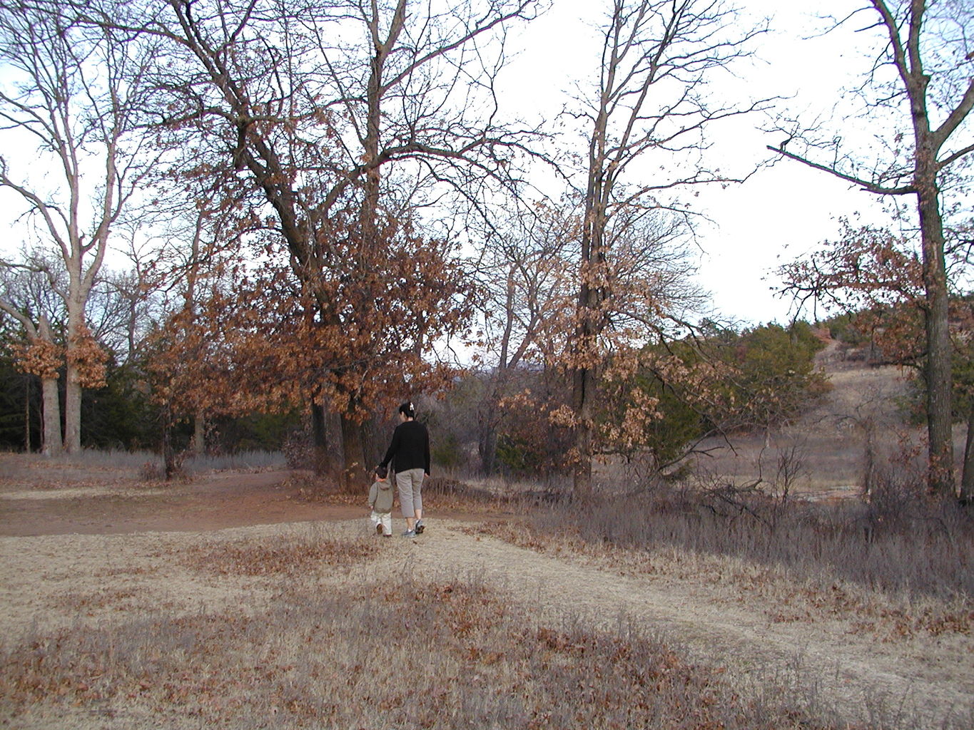 Wichita Mountain Park
