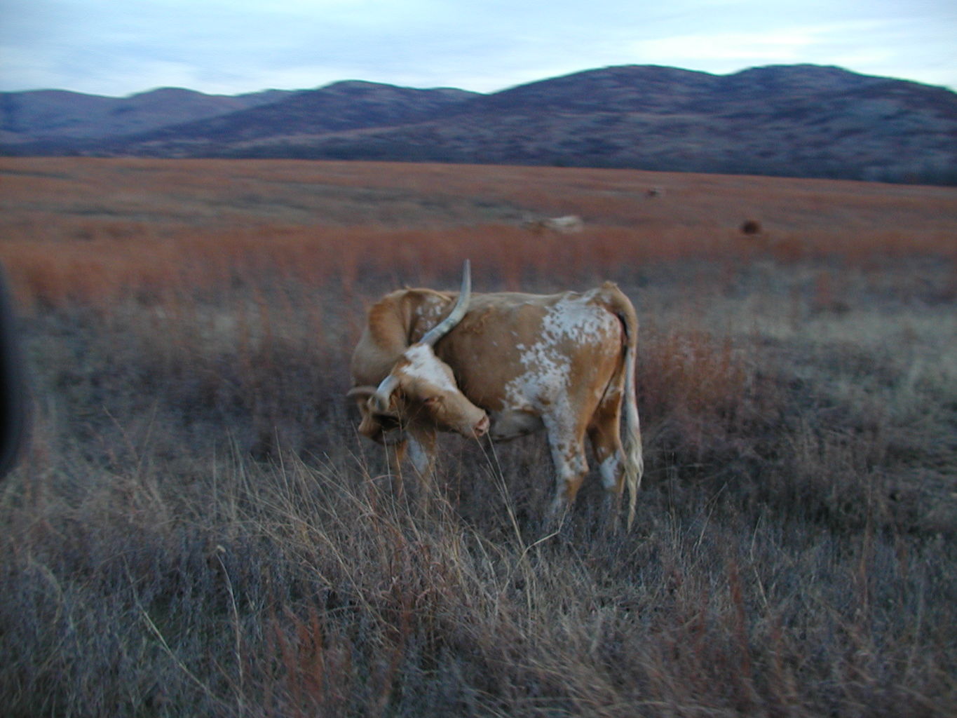 Wichita Mountain Park
