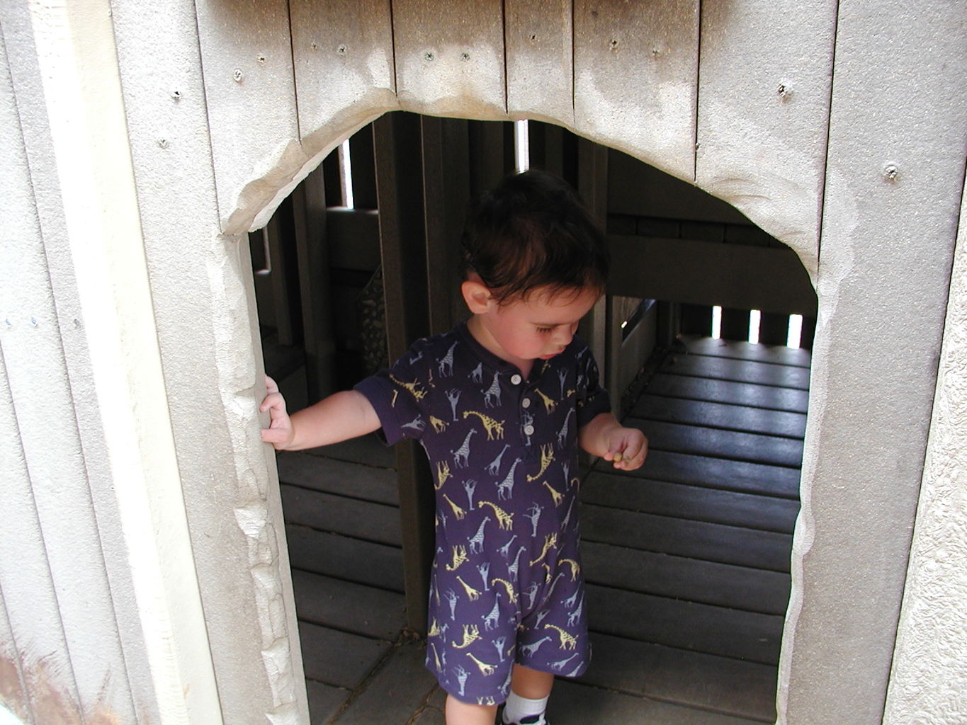 Trip to the OKC Zoo
