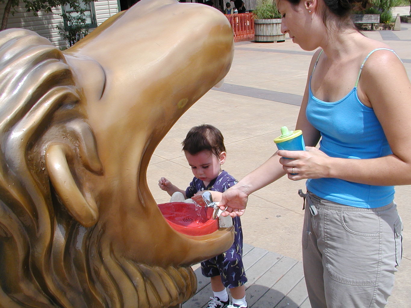 Trip to the OKC Zoo
