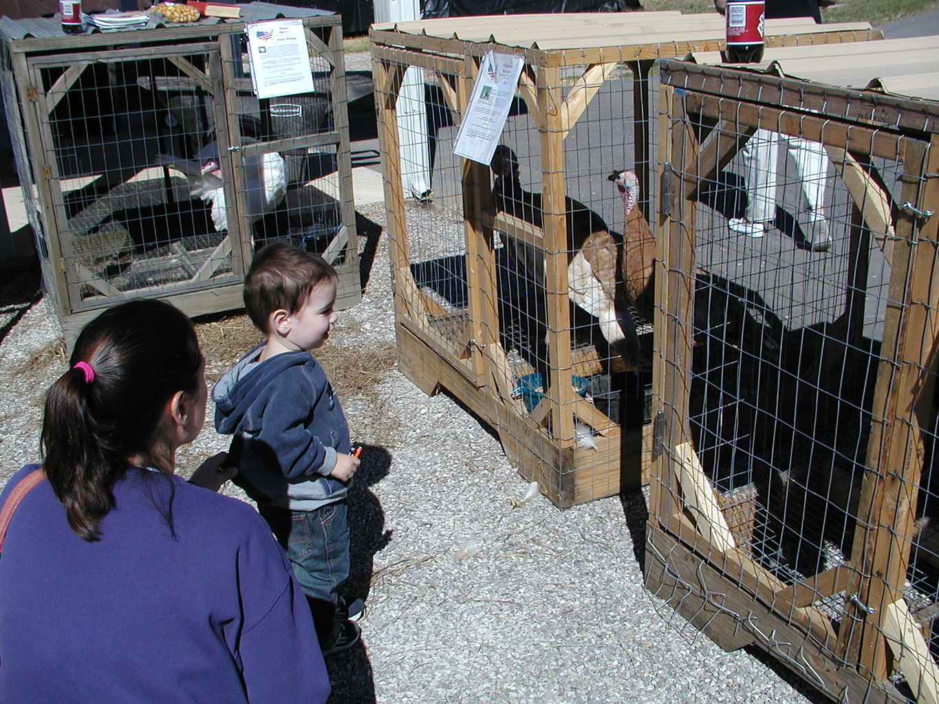 Visit to Orr Family Farms
