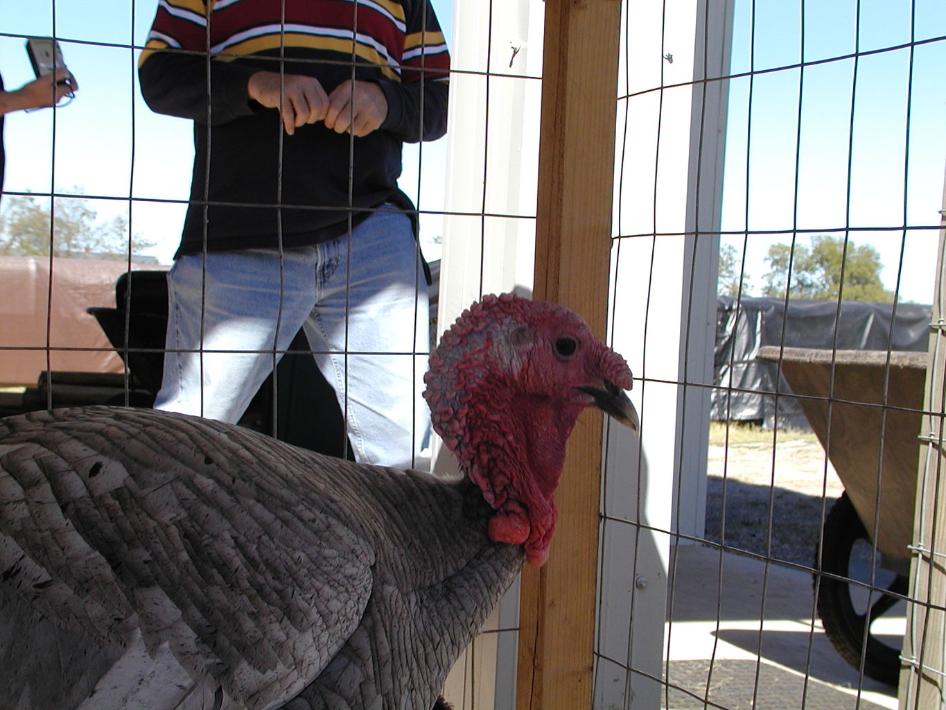 Visit to Orr Family Farms
