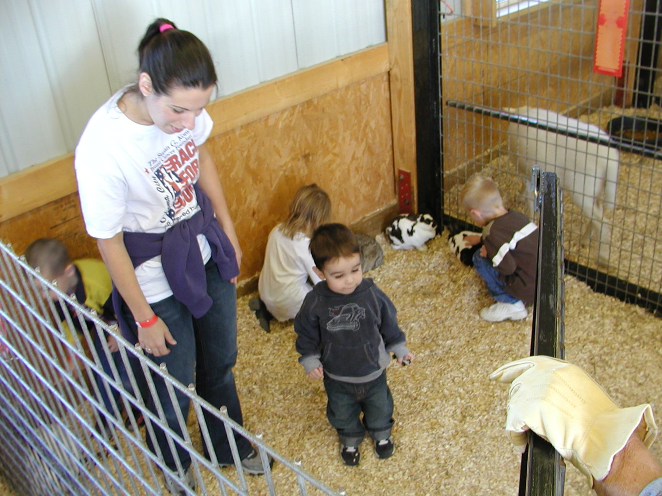 Visit to Orr Family Farms
