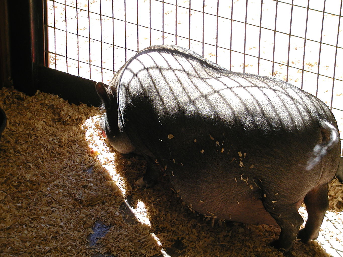 Visit to Orr Family Farms
