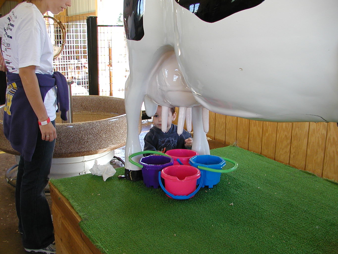 Visit to Orr Family Farms
