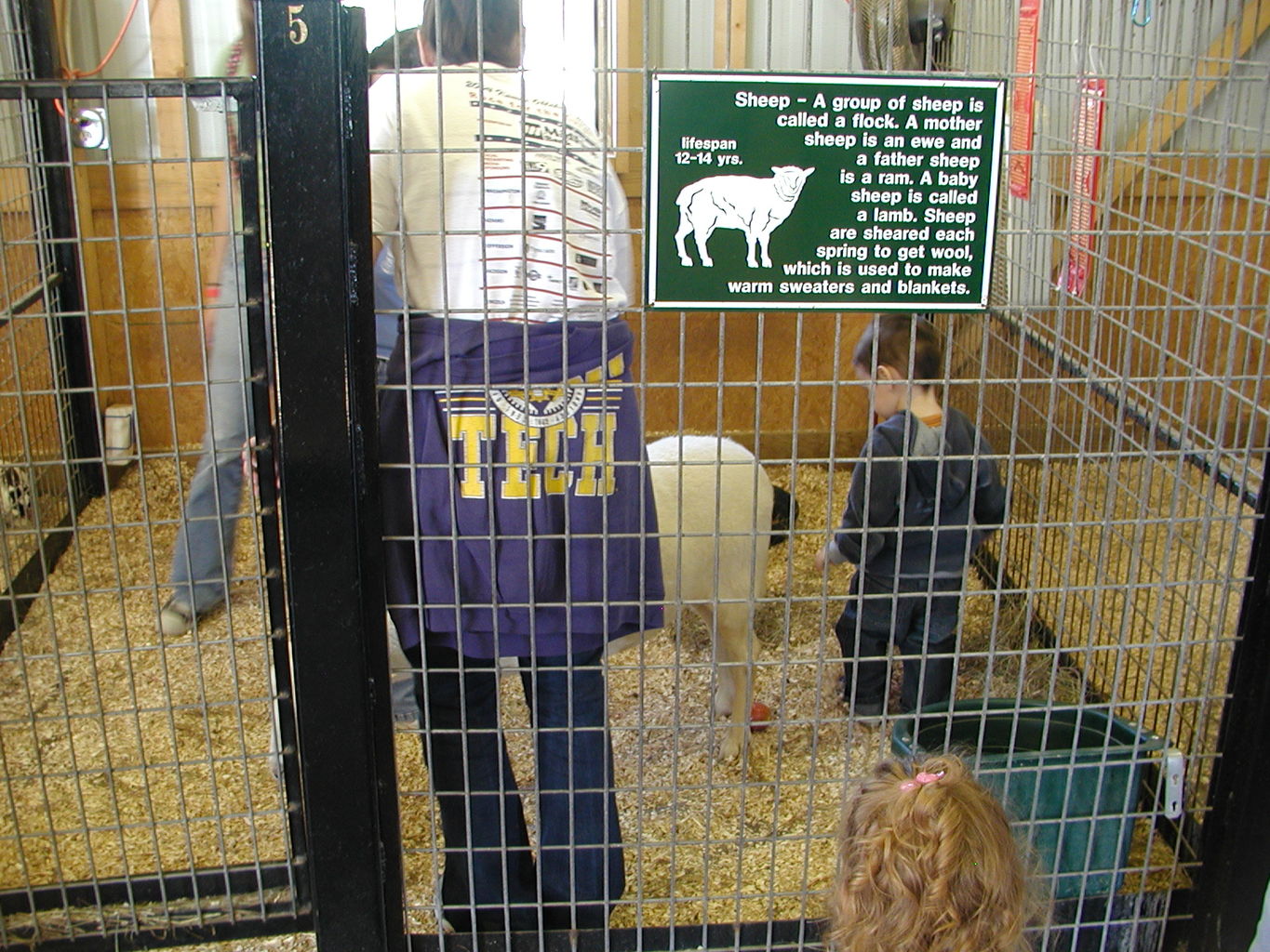 Visit to Orr Family Farms
