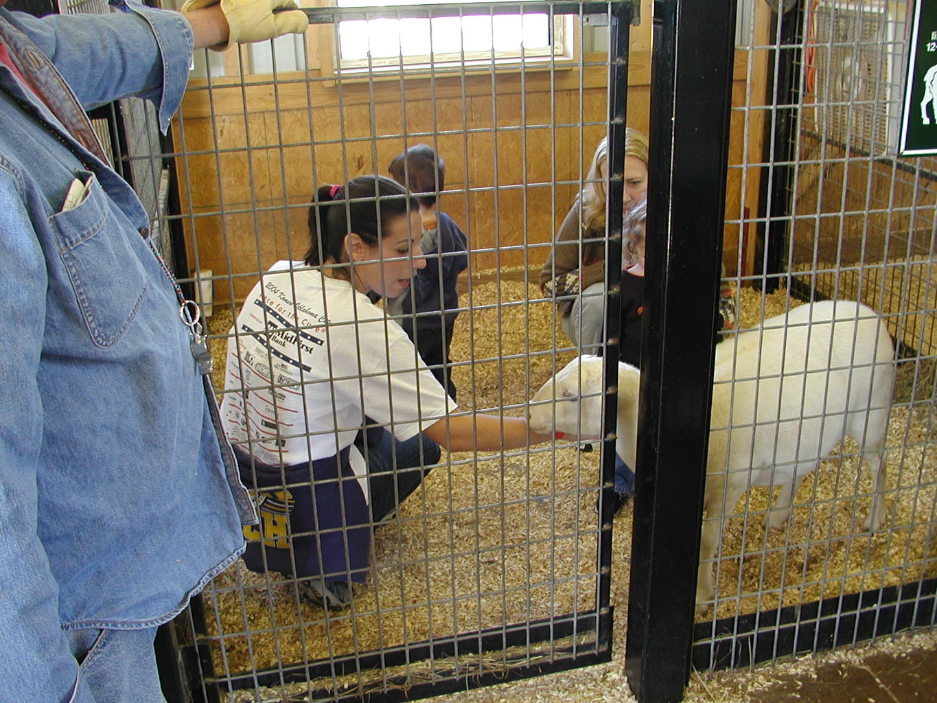 Visit to Orr Family Farms
