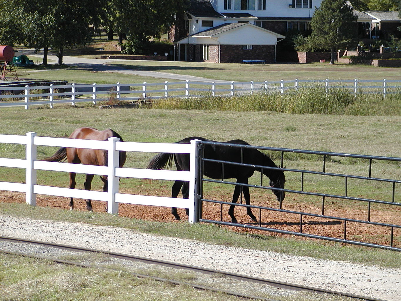 Visit to Orr Family Farms
