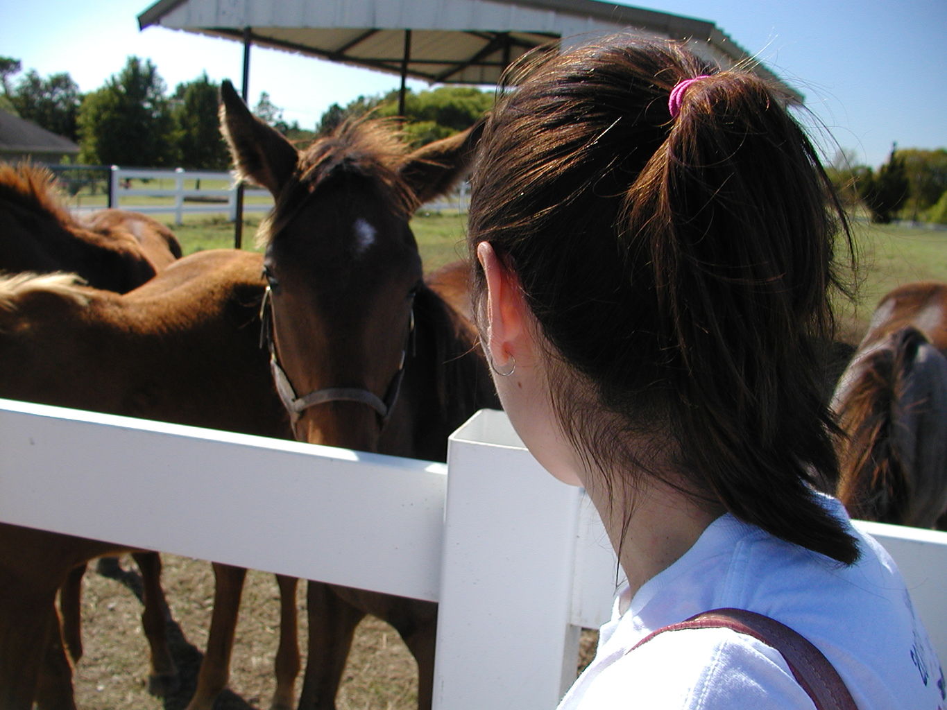 Visit to Orr Family Farms
