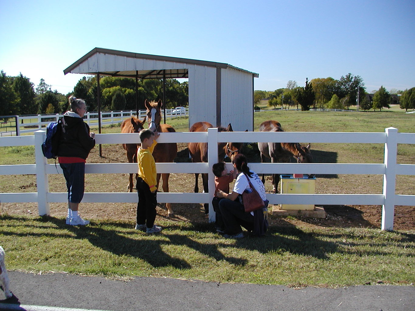 Visit to Orr Family Farms
