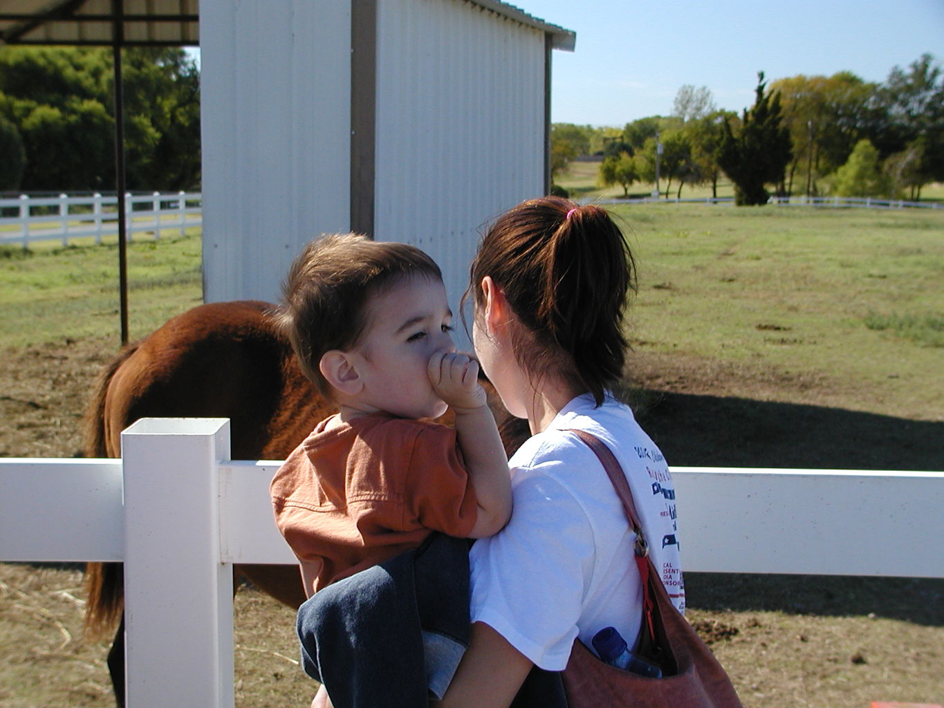 Visit to Orr Family Farms
