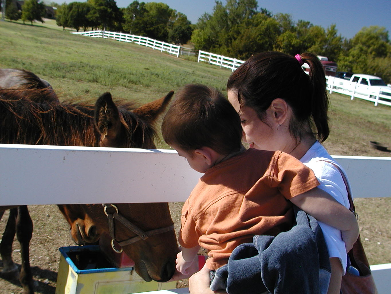 Visit to Orr Family Farms
