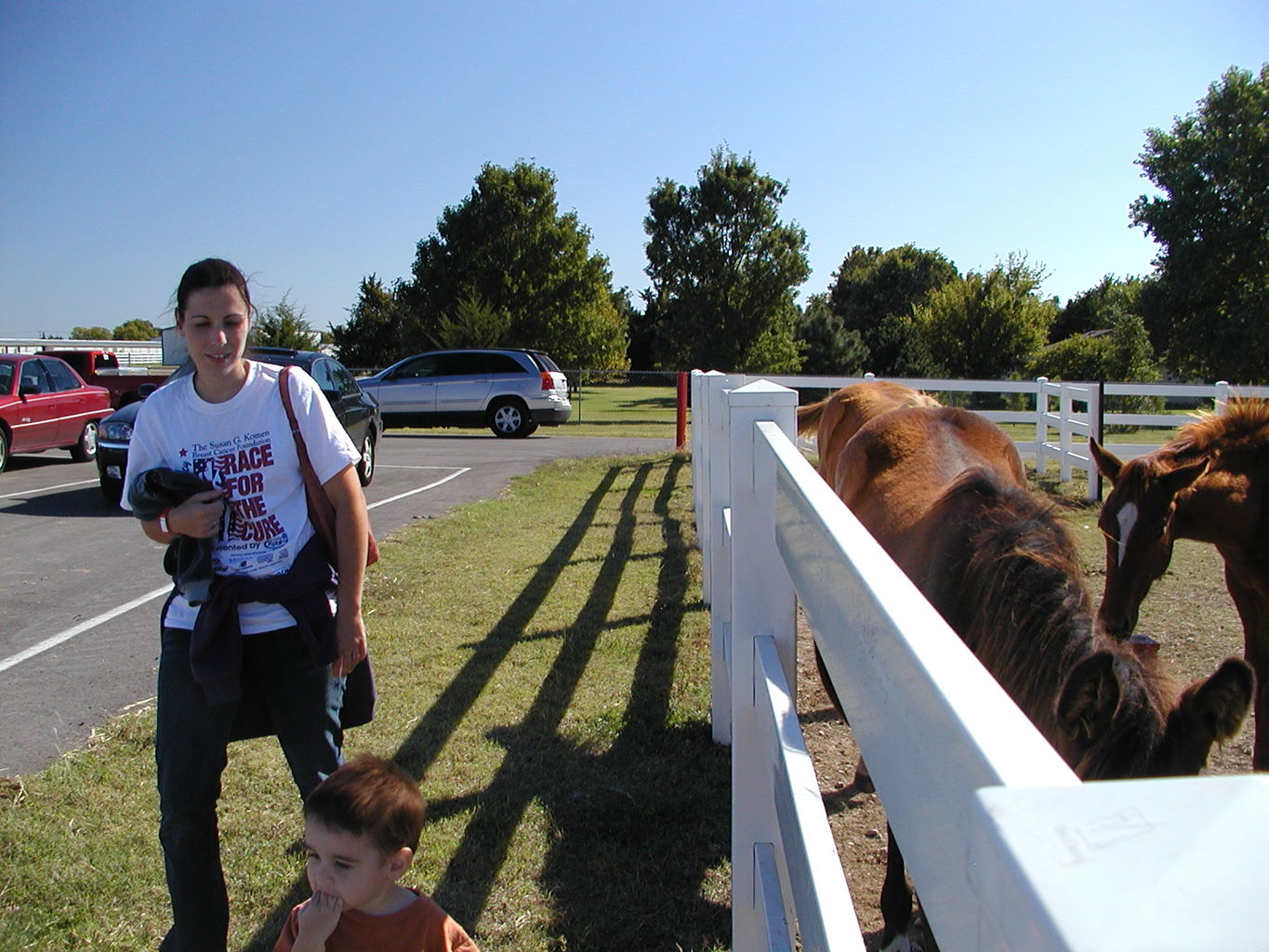 Visit to Orr Family Farms
