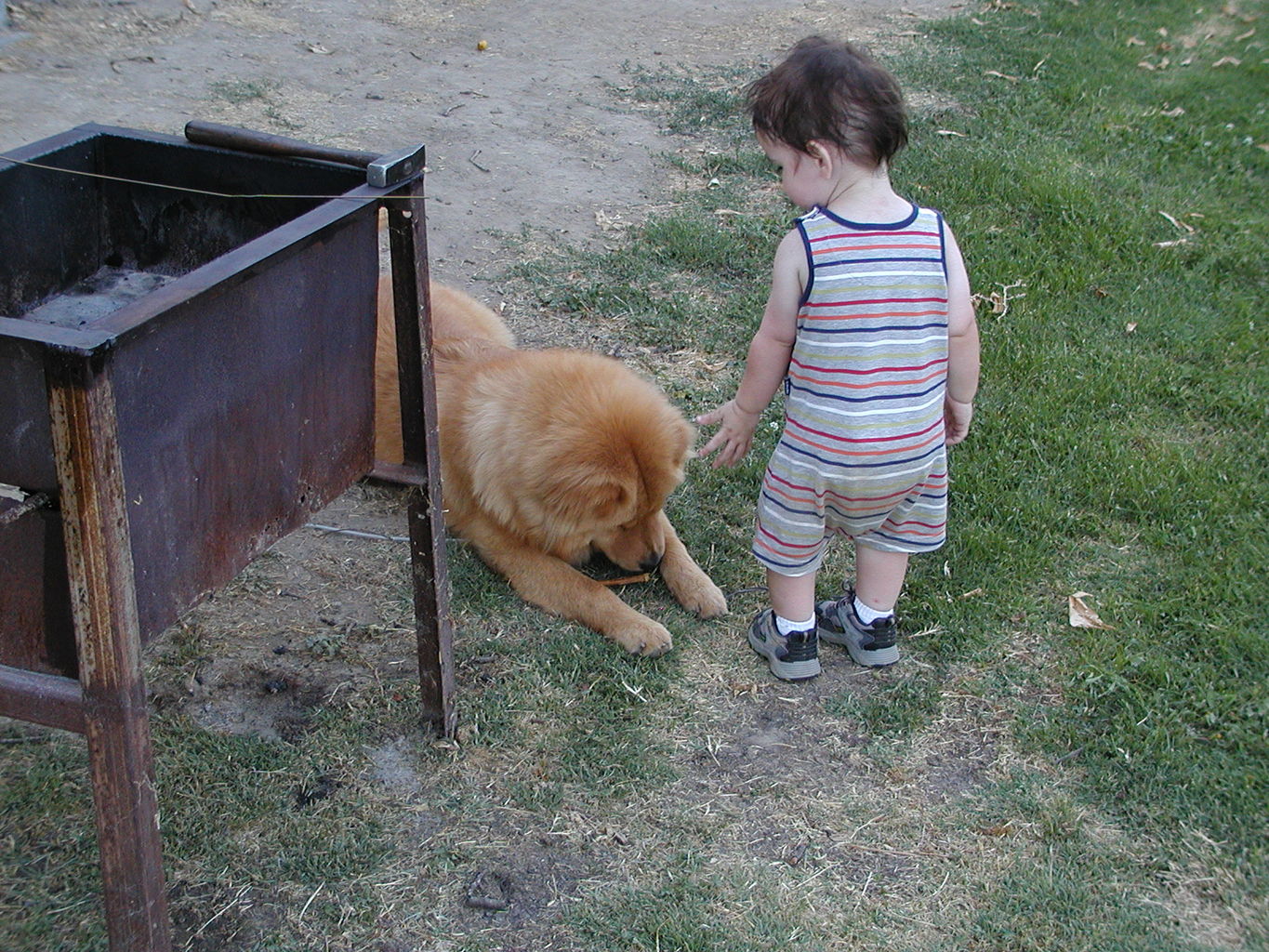 Visit with PopPop - Saturday
